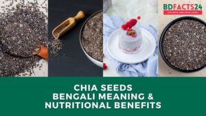 Chia Seeds Meaning in Bengali and Nutritional Benefits