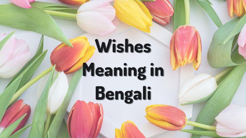 Wishes Meaning in Bengali
